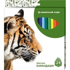 Карандаши 24 цвета "Звери" 