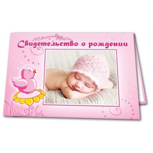 Папка адрес "Свидетельство о рождении" 3310 Fox